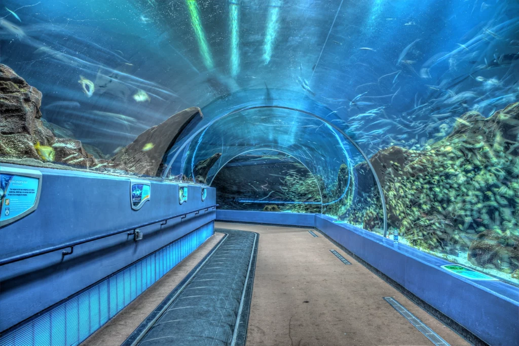 Georgia Aquarium Tunnel